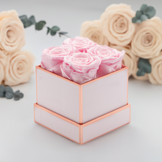 10 Reasons to Choose Alaiyes Preserved Roses